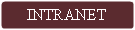 Proceso alternativo: INTRANET